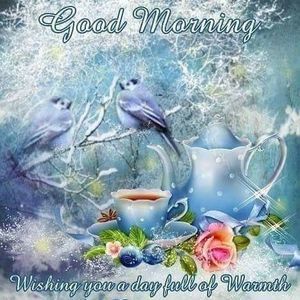 Meet your Posher, Roseana